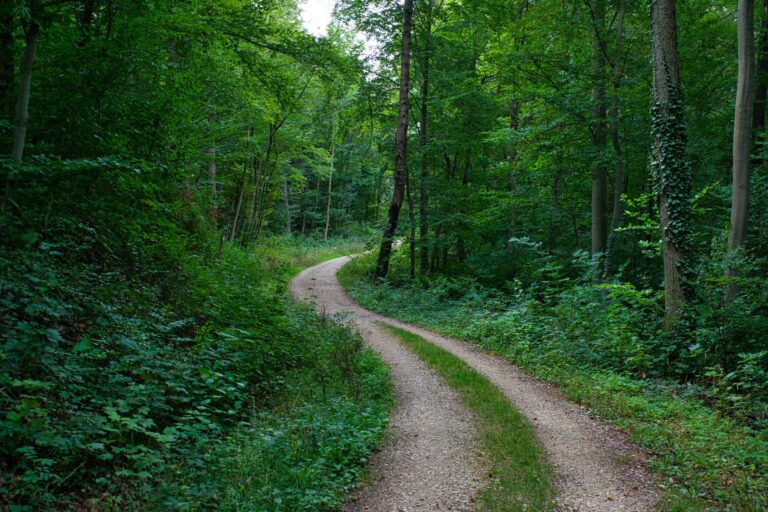 Comment trouver sa voie pour allier carrière et épanouissement ?